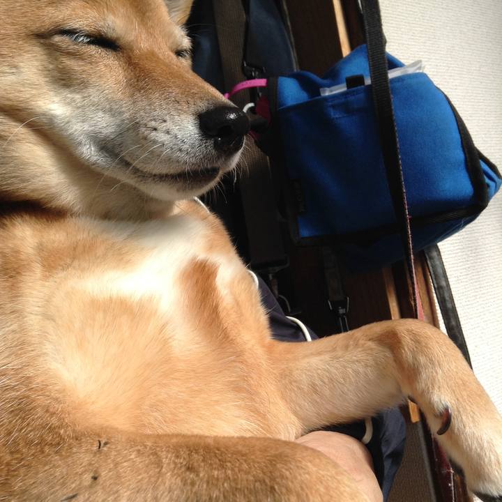 C9489dd5 fc2e 49bc 933f 321aecebf15c