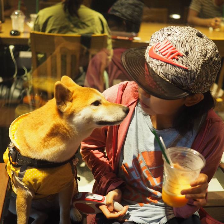 C948bc1b 55e5 43fa b799 011b44742dcc