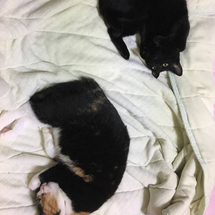 C9492f0b d2ed 46c2 8b33 f596a5950d21