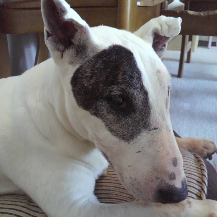 C94ac2ec d171 4d4a 820d 16149b0fef20