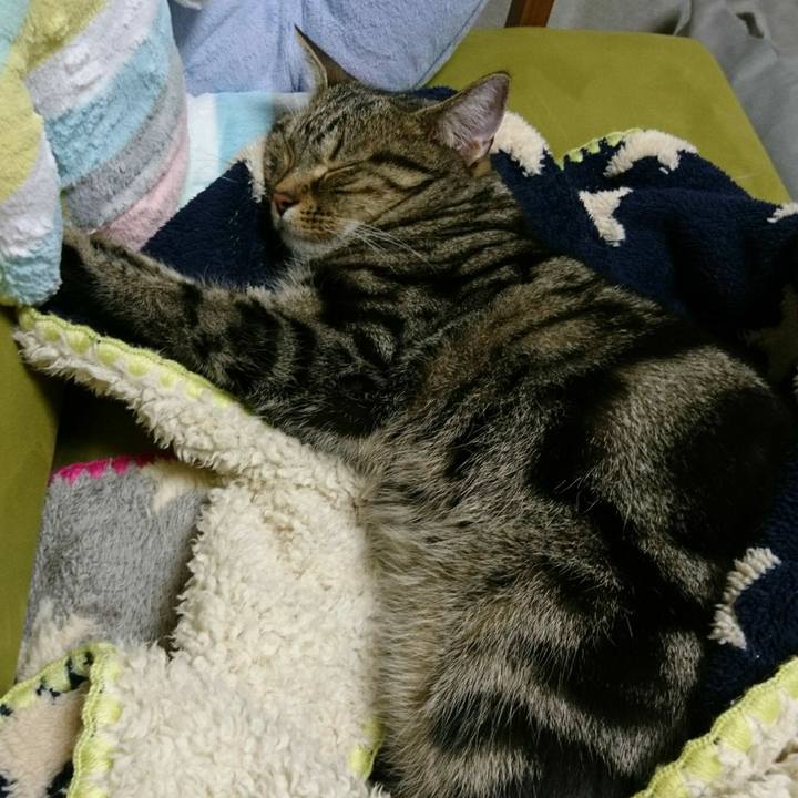 C94ac8f7 fa34 4d4b aabc a9b09161a852