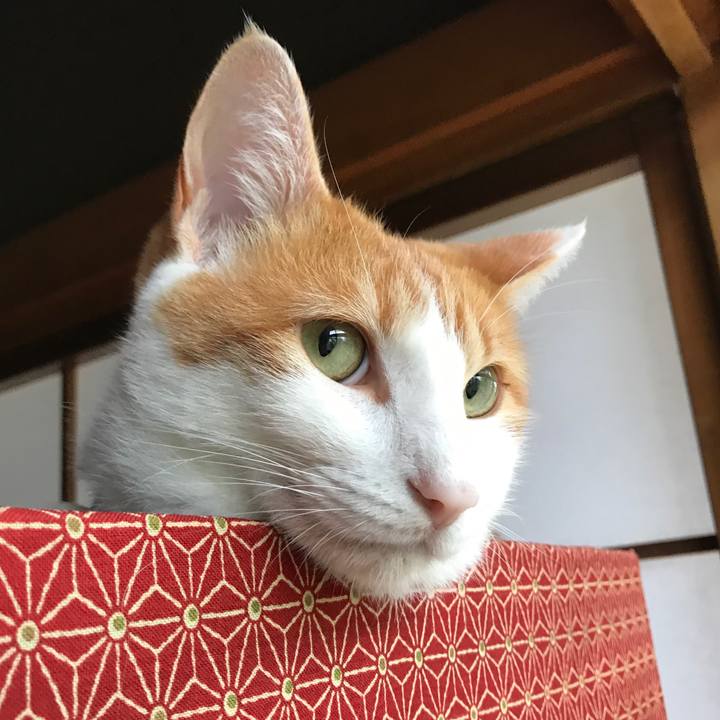 C94b1d64 a172 4e55 9218 aa4265fe452b