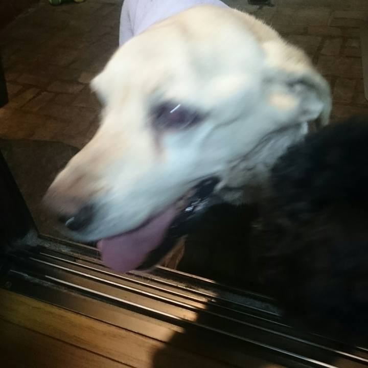 C94b1d64 c046 4c7d b084 8d8a9b56a248