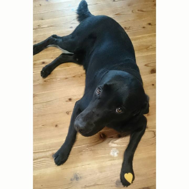 C94b2310 275a 4683 ae13 9dd8143ec391