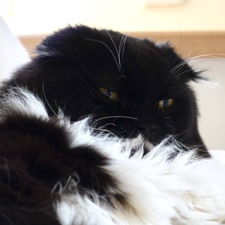 C94b860e 6e9f 4194 8739 d7dda2687ffe