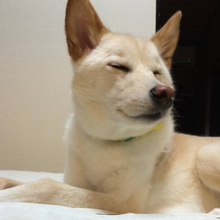 C94b9d25 4d06 42cd badf 83bcdf393fd4