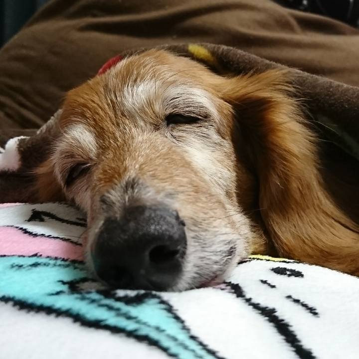 C94be67a 2d51 4015 bbbb 9354e52defdd