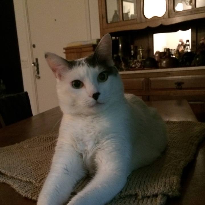 C94c2df0 2ab1 44ef a5ac ebdf84a708c1