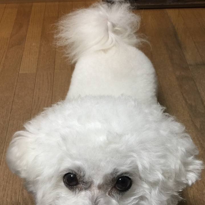 C94c8521 52b1 4833 b1ee 28b6c3cf6043