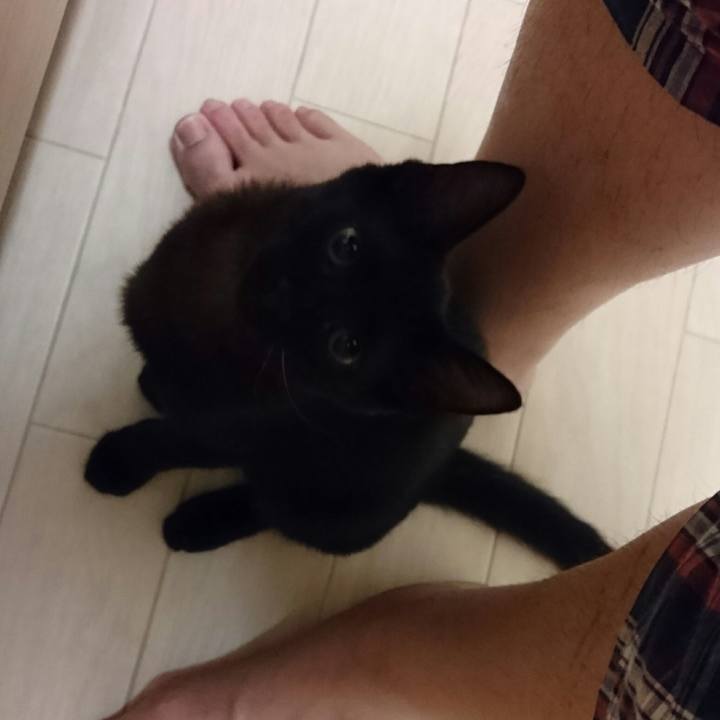 C94cc825 7e30 4b22 8a3d 74400914f061