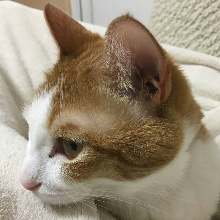 C94ce190 ff31 4c6f 8fdf 618385b683a5