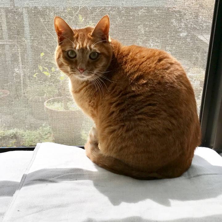 C94d1451 2c8c 4ba2 b85c ae60ffa5d003