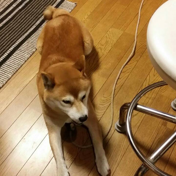 C94e0fc1 84d7 431e a6b2 635410e94746