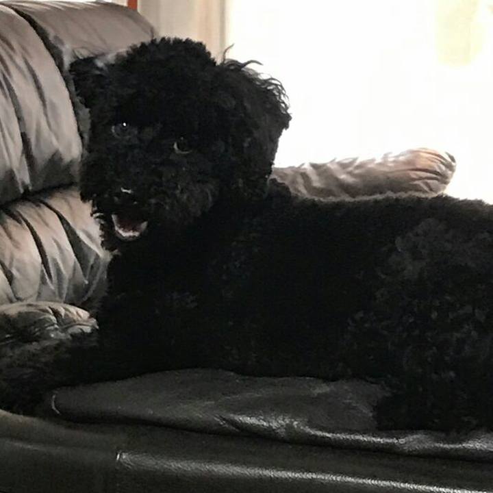 C94e2f23 1049 4164 a572 c6e1ea845fc1