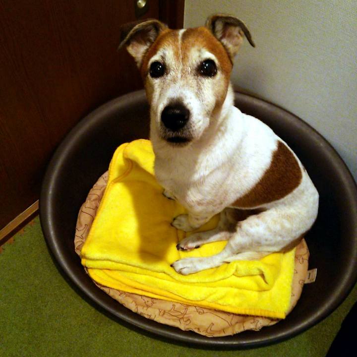 C94edb98 dd0e 4f82 a5c0 cf4200e62883