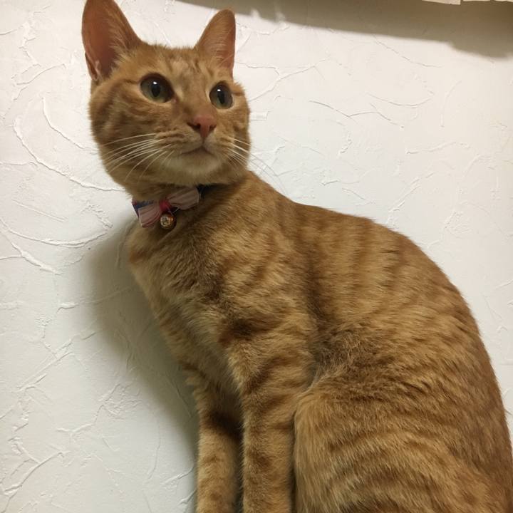 C94eedda 209a 48fb a420 8a73cbd6d5e0