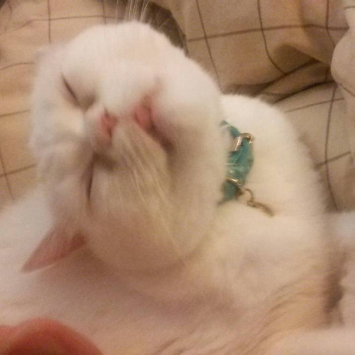 C94f3e56 bb70 4da0 be6f f9337a5763ce