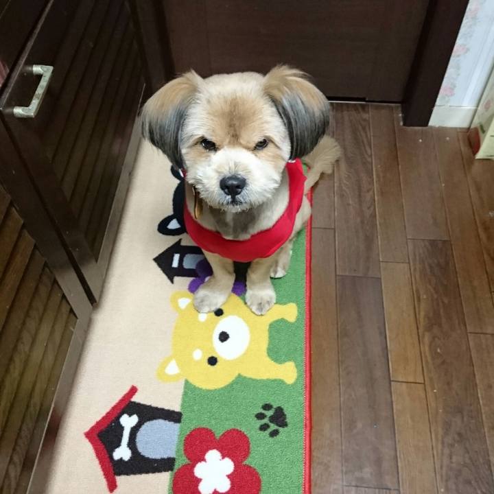 C94faafb e923 4159 aeef 80eca435dd35