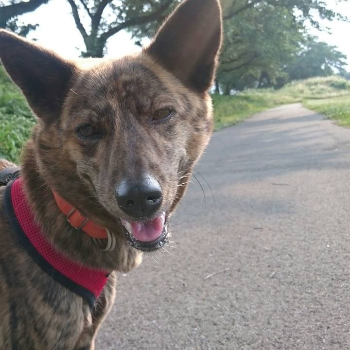 C94fb459 f3ee 4b7d 9090 edc9c7ee07ab