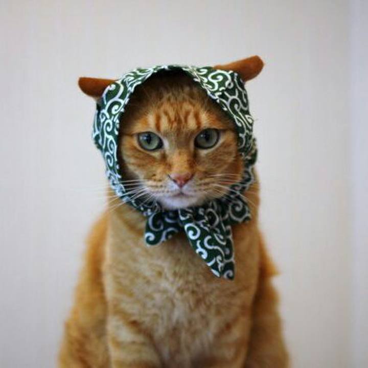 C95027cd b6d4 4917 b47b 31b4d93a182f