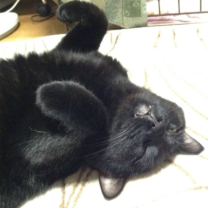 C9505c08 47a9 4755 aab4 d9765dd33db7