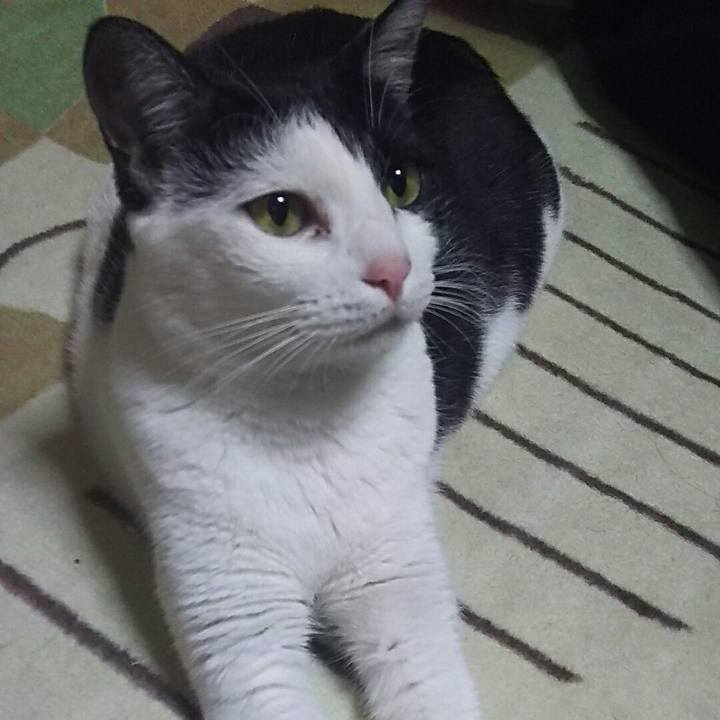 C950bae9 e677 45ba 97fb c121d164d7fd