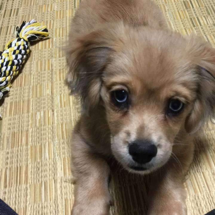 C9511883 8f57 40d3 bebe ed27907961a6