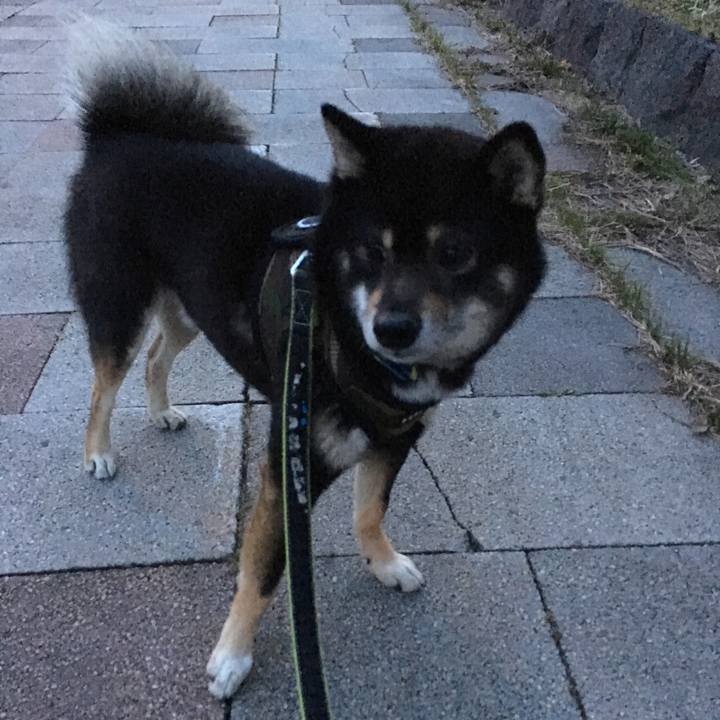 C951430e e9b4 47e3 a2c3 97f94d100ed5