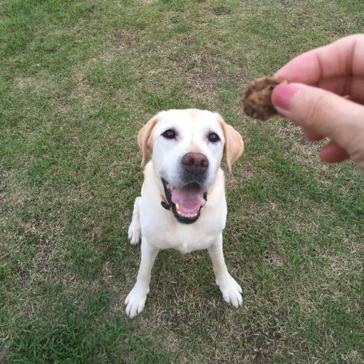 C951f176 9a3c 4647 bf0b cc53d281b9fa