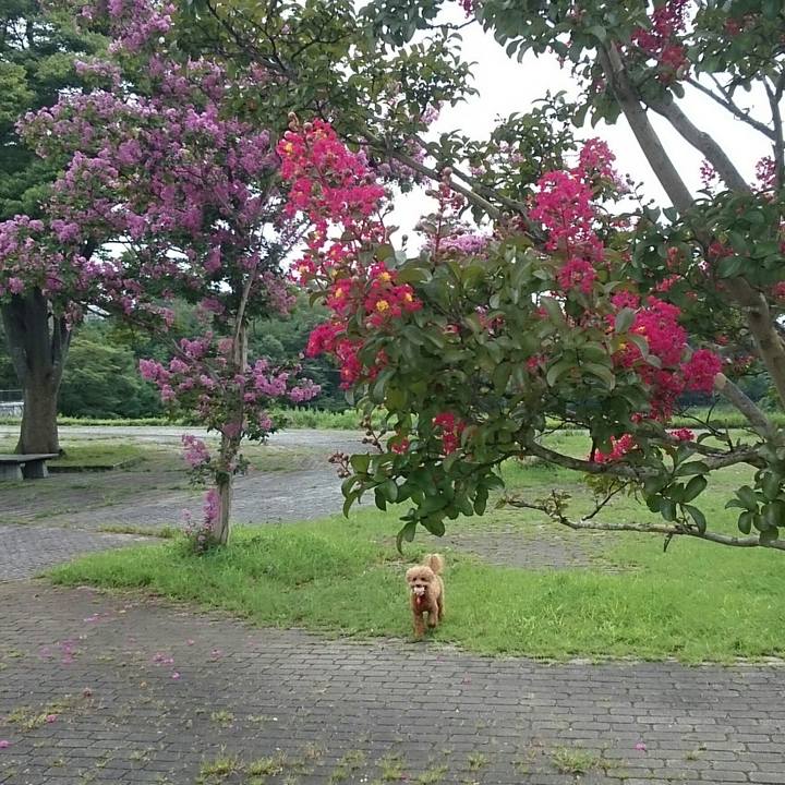 C952ca73 fde0 44f9 93e6 c8b4525c2d90