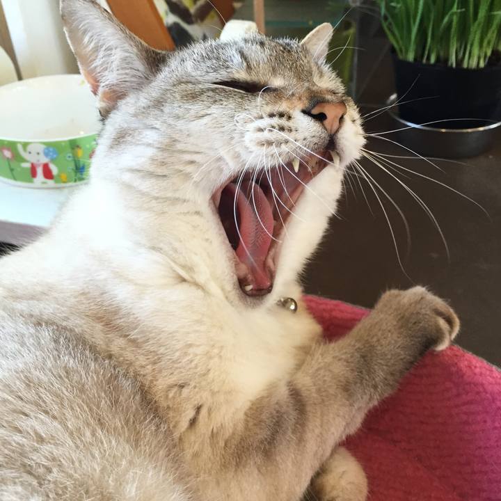 C952cba8 95d5 4250 a2a2 55bd5c9c34d8