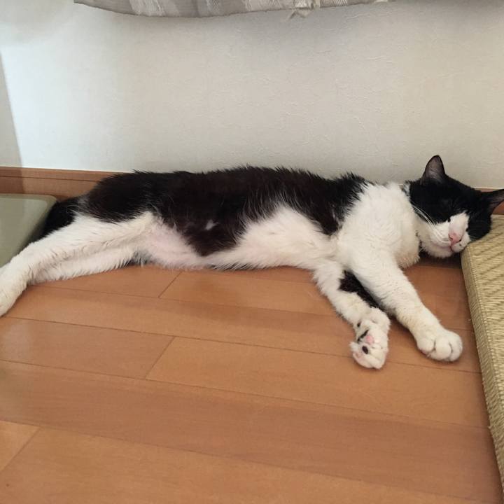 C952eea2 d47e 42de ab52 2a5302bfc007