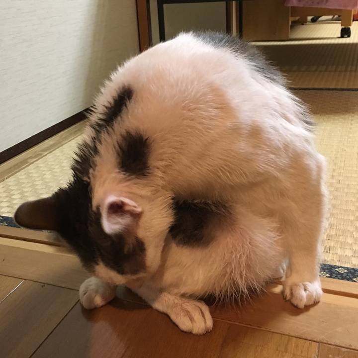 C952f1d2 1e07 40b7 ba03 195ec618e4ea