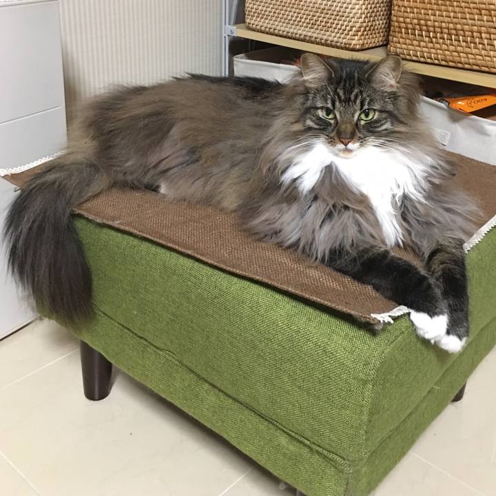 C9530e16 c485 4301 9835 e929a3f2c568