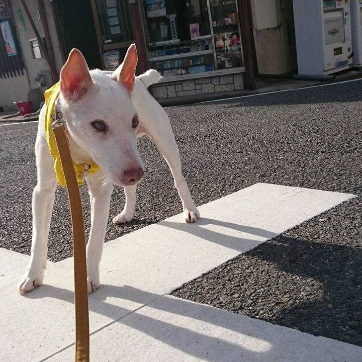 C953e373 5e62 4d92 8548 b4ded852c351