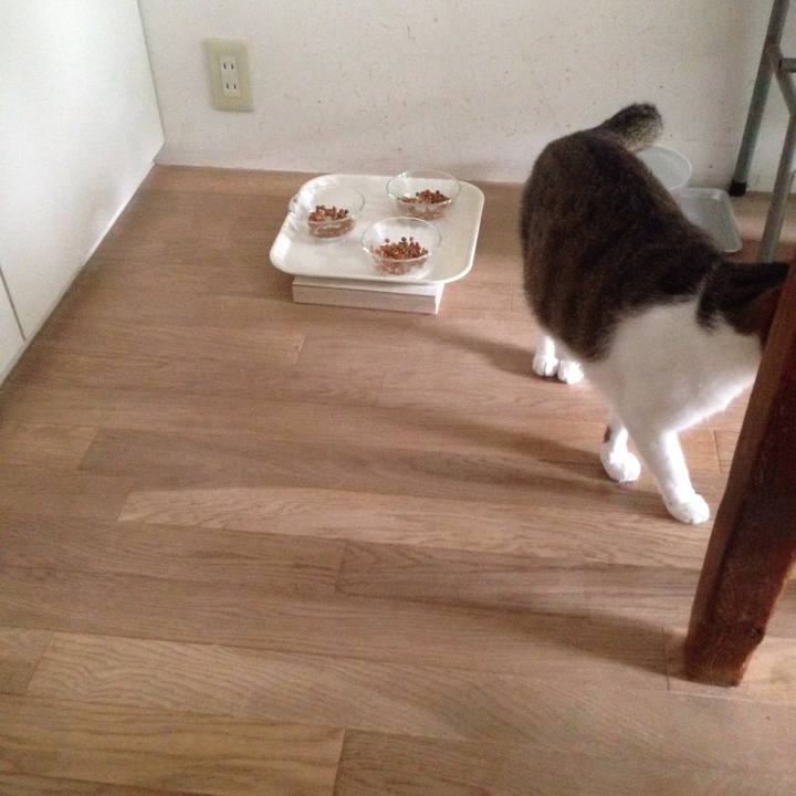 C9540fc1 83f5 4bc1 8cff f59bb66d9a01