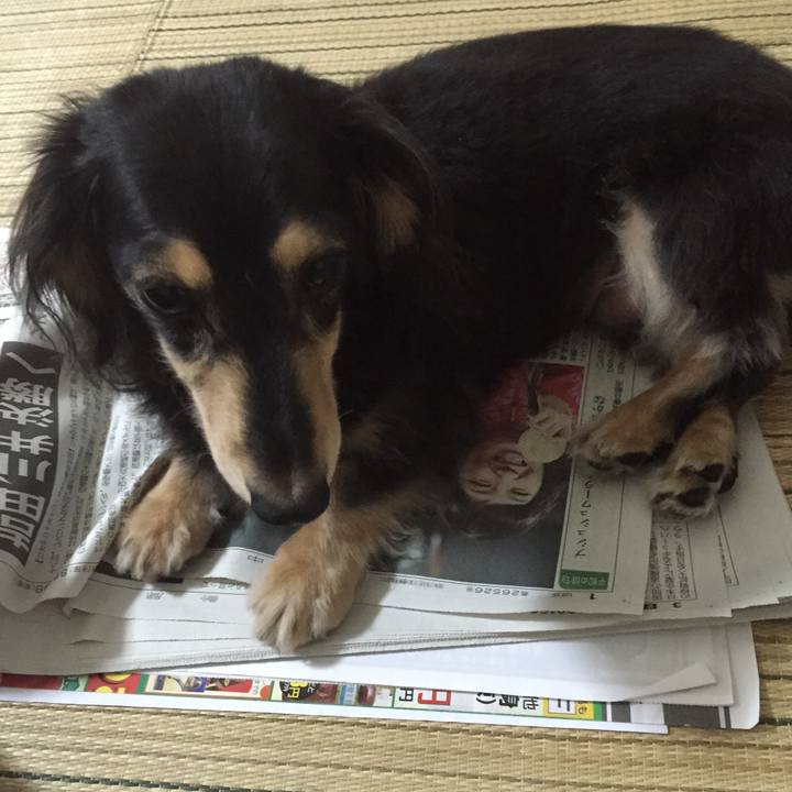 C9548c6b bd47 4c0a 8de9 313d3652394f