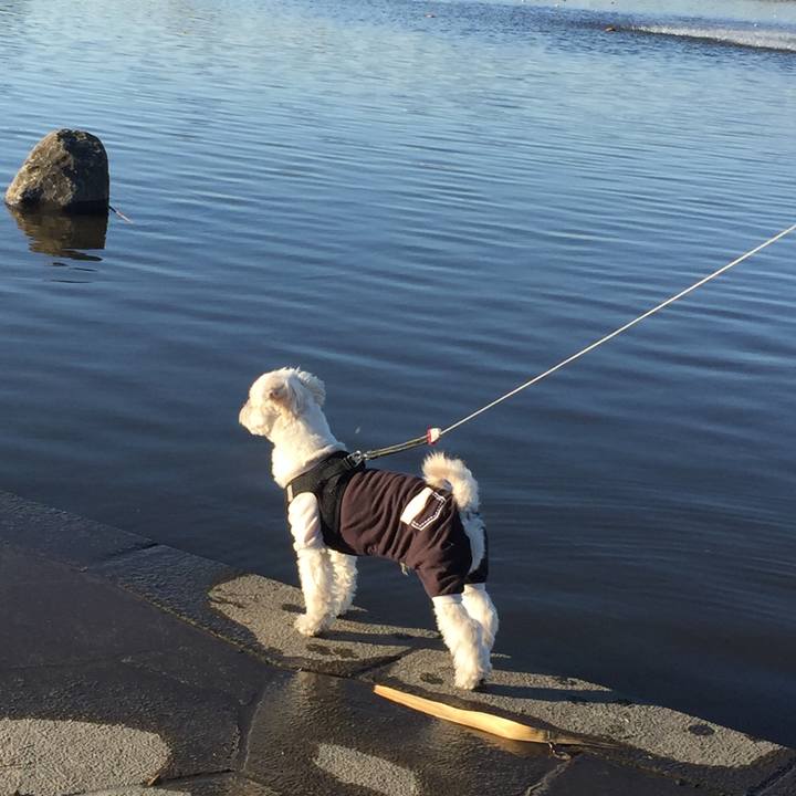 C955a695 07f9 45c6 a115 470619c2340e