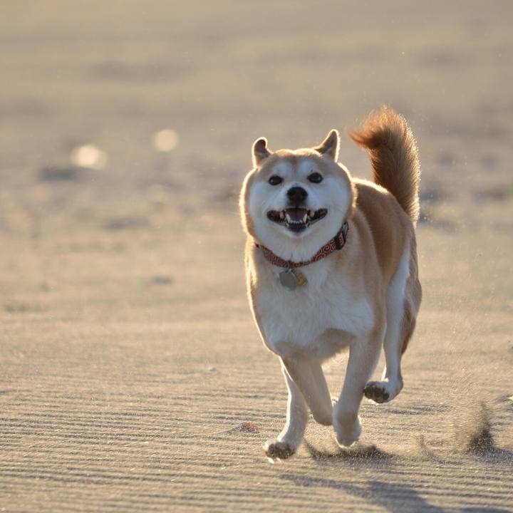 C9566498 6f8f 4bd7 90ca 620a4ca4f7a6