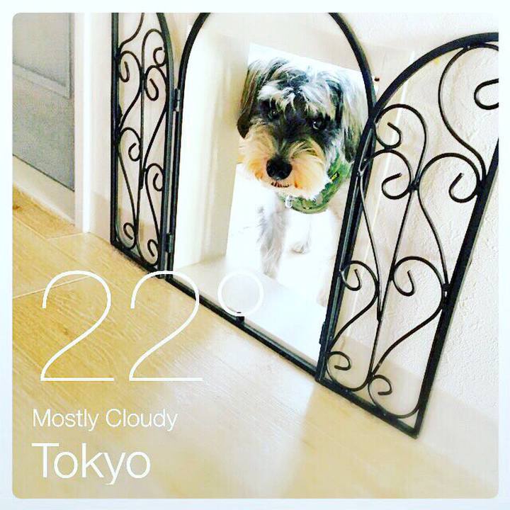 C956d0fd 0d0e 428d b5cd 2251ec1d388b