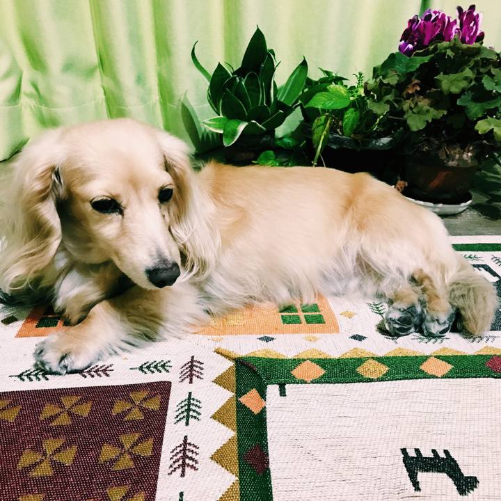 C9570167 3d46 4f47 9e9c 931b438907ba