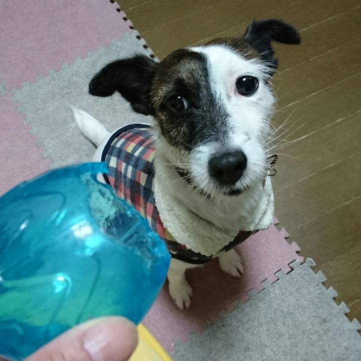 C9571c03 4e2a 4969 ac29 ed47aad69a3d