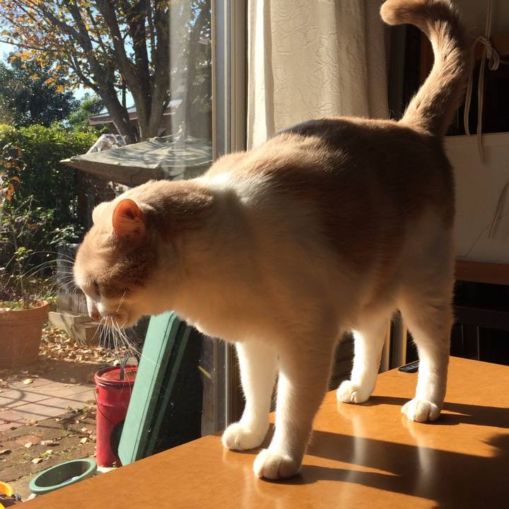 C95766d1 db59 4778 bc2a 56c6f8fc48c3