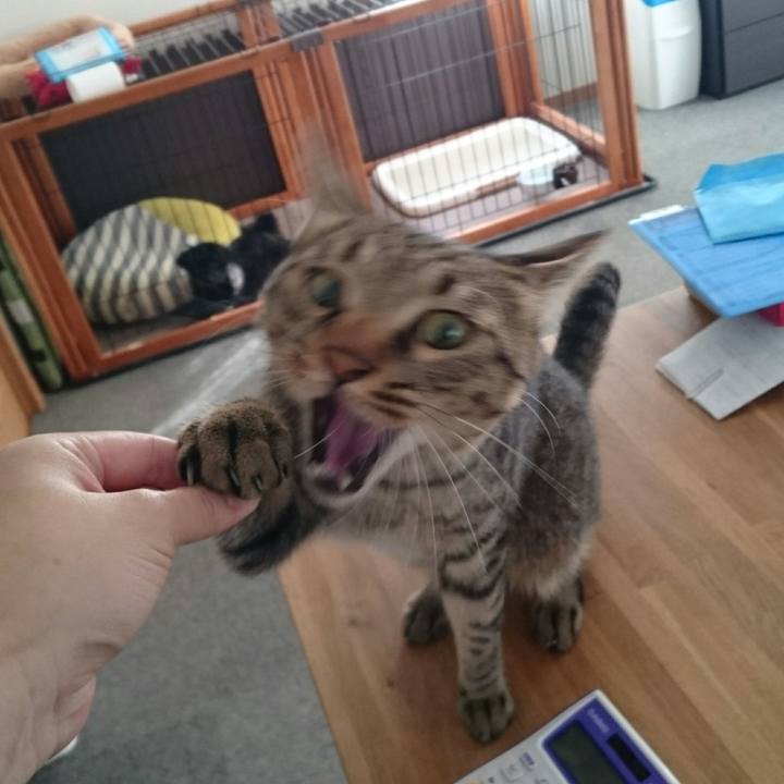 C9577c4d 4ba7 4ebf b27f 4c12204e139f