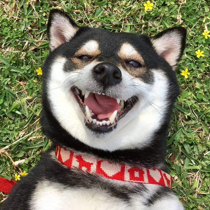 C9578940 075e 4ead 8f0a f3c5eccef0ef