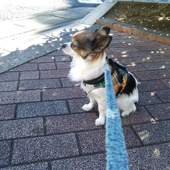 C95803b1 1e3c 49b0 bdb4 1dae977df4ef