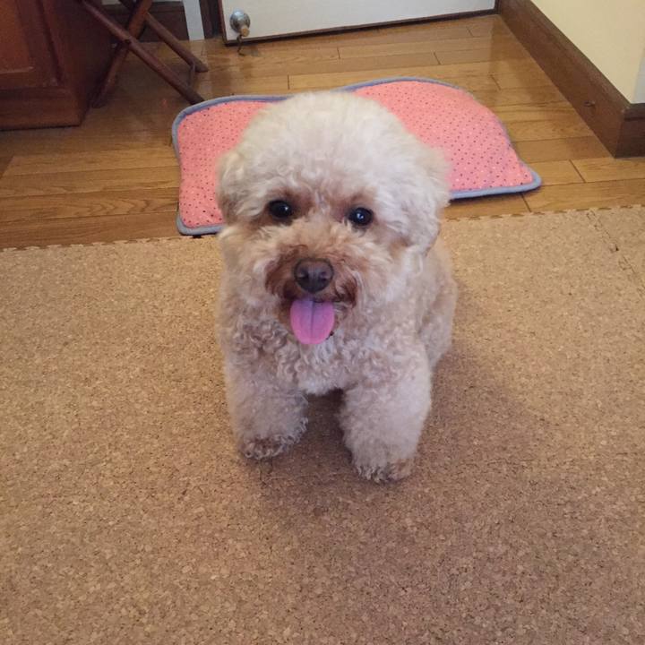 C95837f6 3890 4676 bb21 14d043b55f46