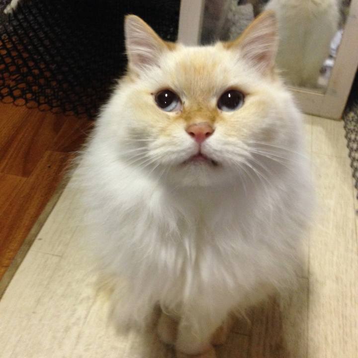 C959035d f702 48e3 82b3 59ab2a05ee60