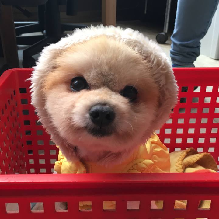 C9590f7d 7469 414f a60c 3dd6f5597357