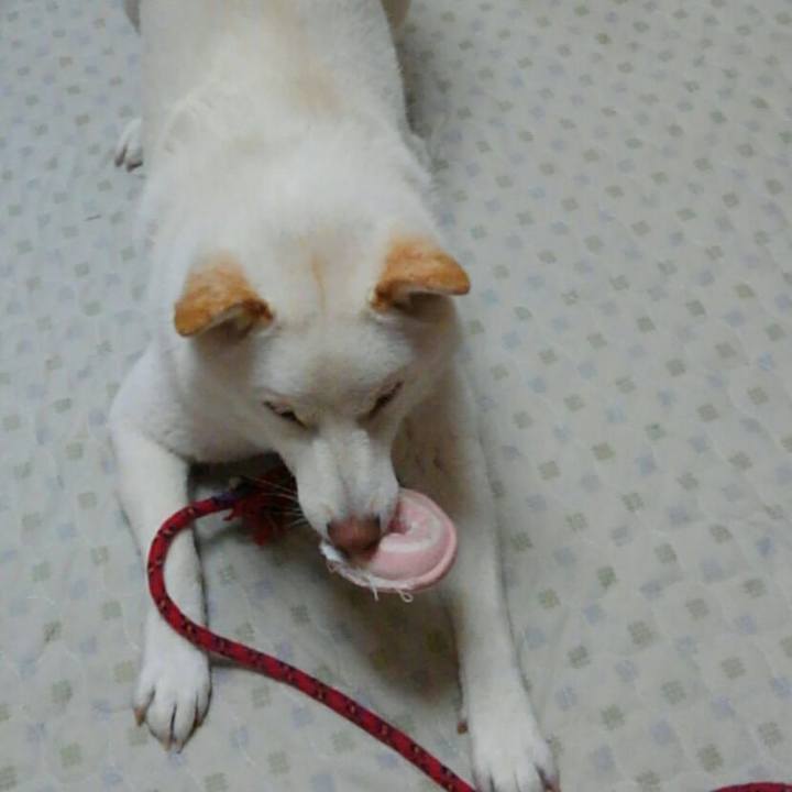 C9592599 53ef 4824 bd47 4854c370ab39